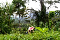 costa rica forest and ecolodge volunteering project
